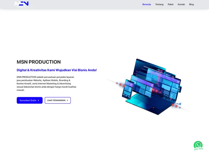 Msnproduction.com screenshot